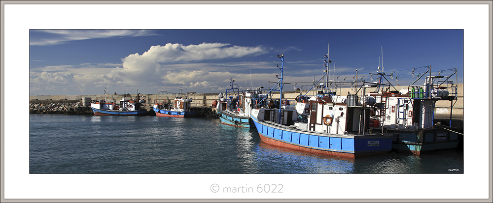 Chokka boats In a Row