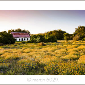 St Francis Farmhouse
