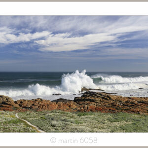 Wild Side Fynbos