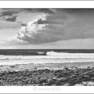 Seal Point B&W