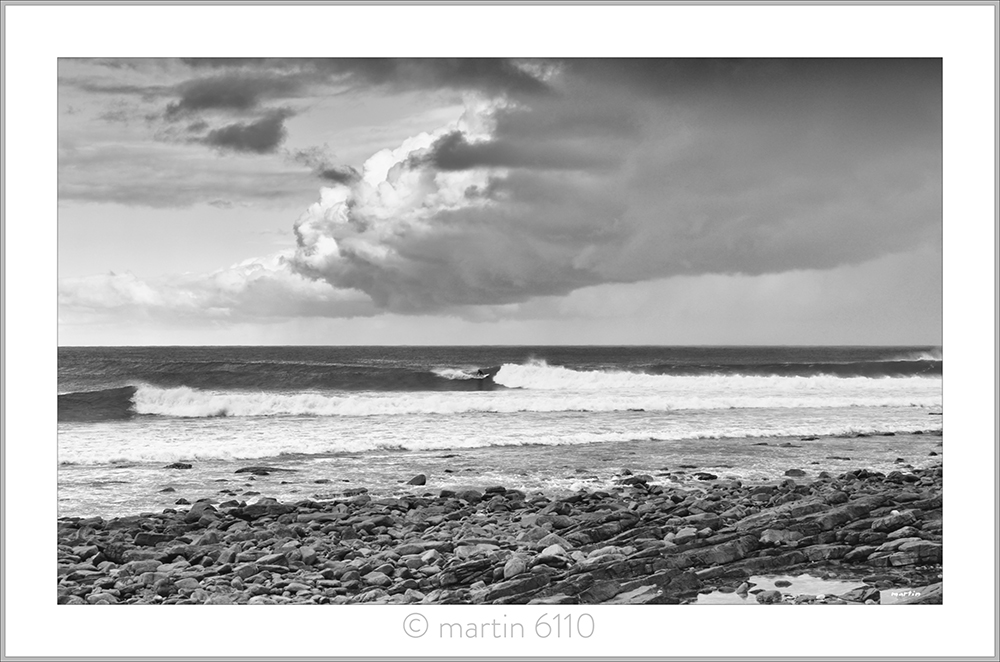 Seal Point B&W